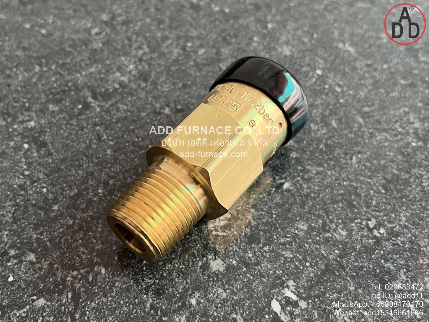 Rego 3129G Safety Relief Valve (4)